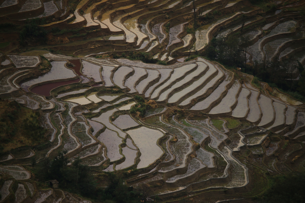 Die sehenswerten Reisterrassen nahe Xinjie